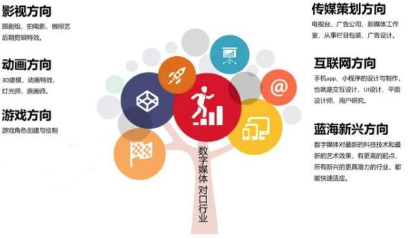 数字媒体艺术专业与数字广告制作 职业前景与发展路径